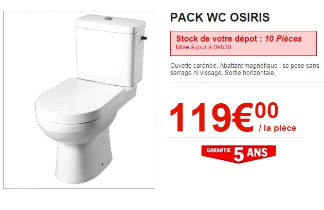 WC Brico Dépôt monobloc