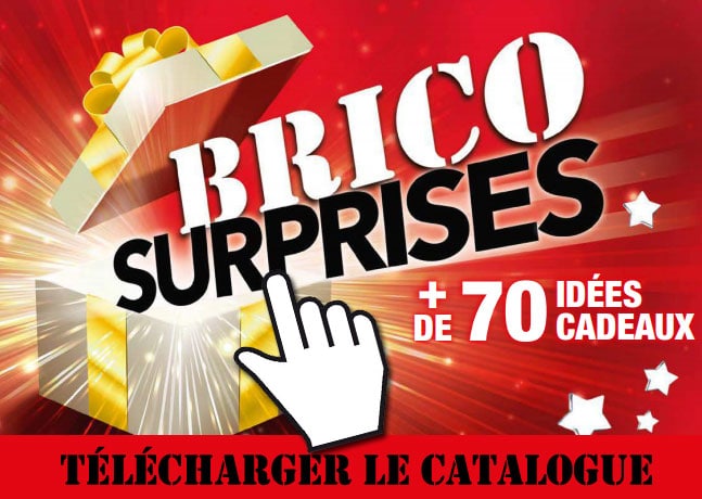 catalogue brico depot novembre