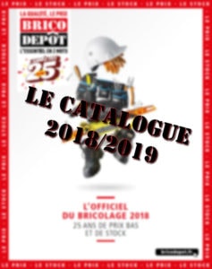 brico dépot 2019