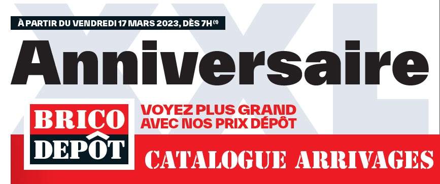 Les arrivages Brico Dépôt du 17/03/2023