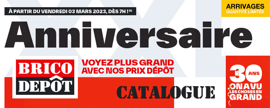 arrivages brico dépôt du 03/03/2023