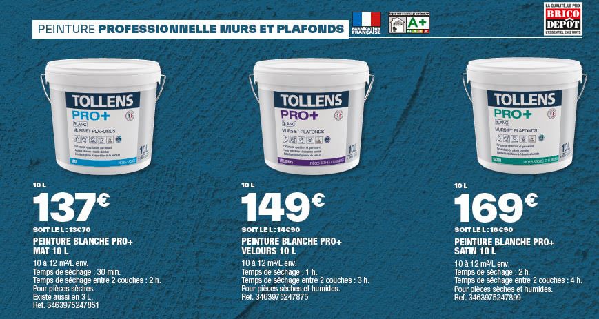 peinture professionnelle brico dépôt