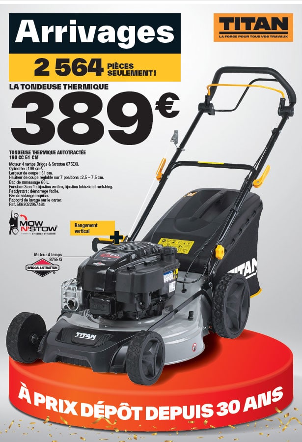 tondeuse brico dépôt briggs & stratton