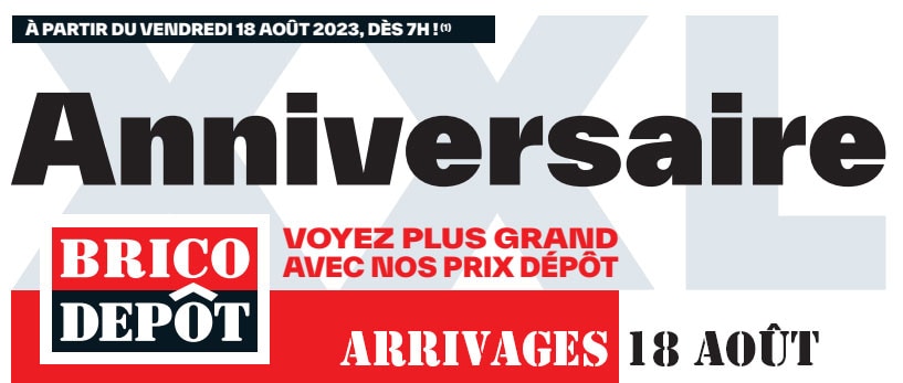 brico depot catalogue du 18 août 2023